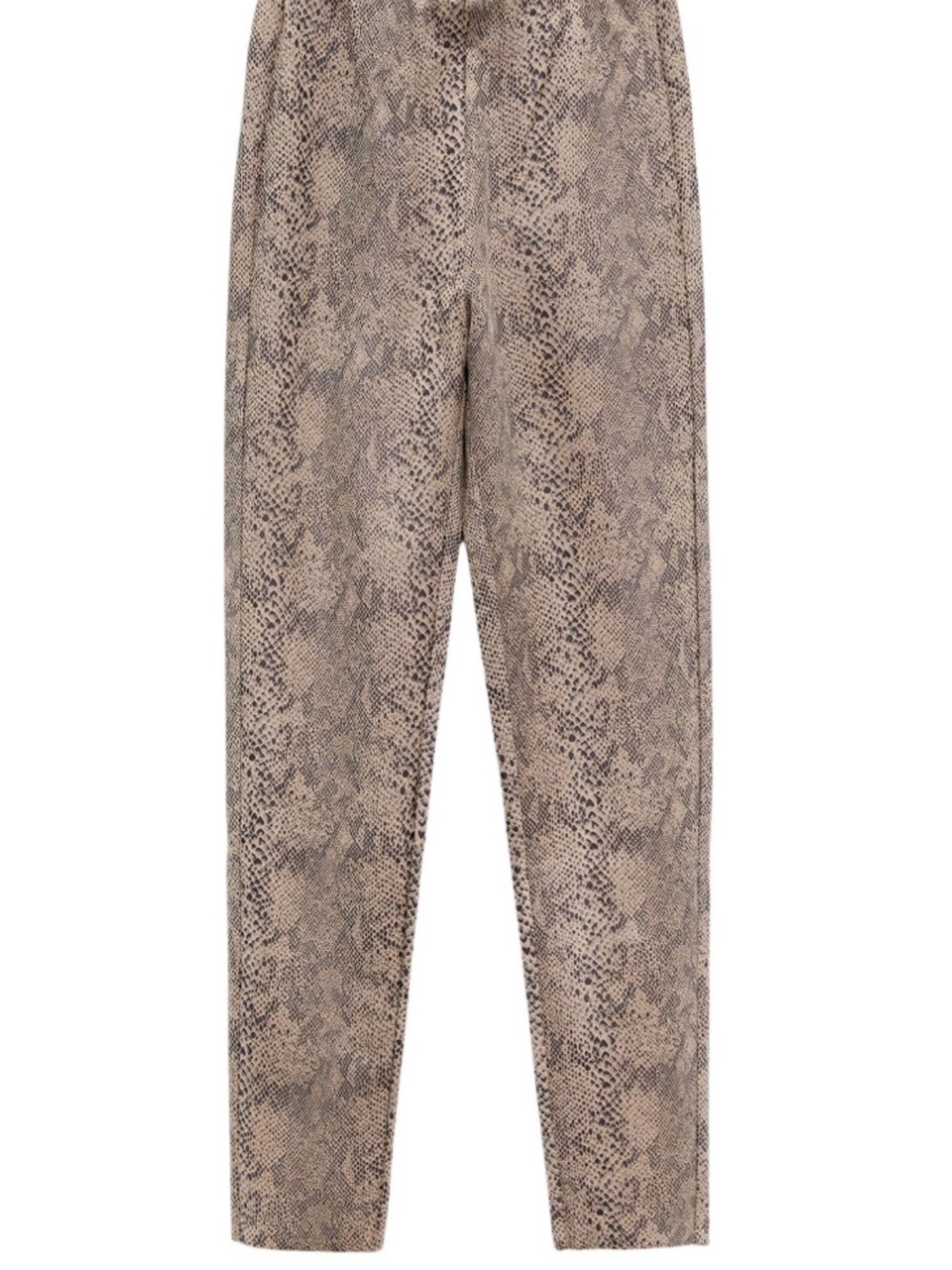 Zara Neutral Snake-Print Leggings